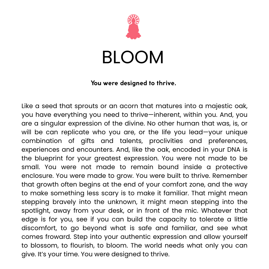 Empowerment Bracelet Duo - BLOOM bracelet alternate angle view 1, detailed close-up